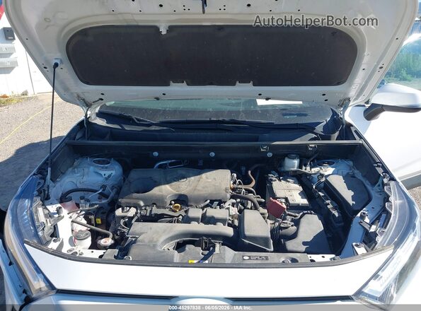 2T3G1RFV5PW337658 2023 TOYOTA RAV4 Белый Вид сзади