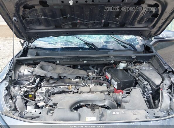 2T3G1RFV6KC021650 2019 TOYOTA RAV4 Серый Вид сзади