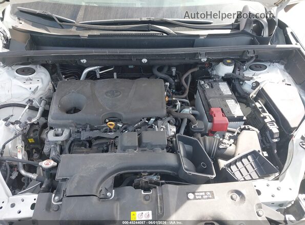 2T3G1RFV6SC497123 2025 TOYOTA RAV4 Белый Вид сзади