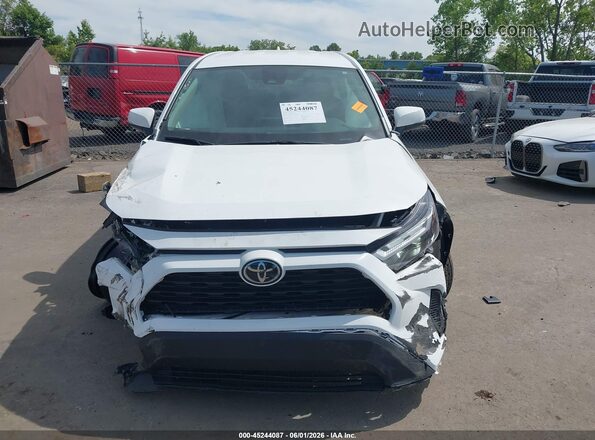 2T3G1RFV6SC497123 2025 TOYOTA RAV4 Белый Вид задней части салона