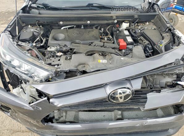 2T3G1RFV7LW101572 2020 TOYOTA RAV4 Gray 