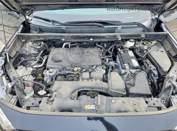 2T3G1RFV7RC398966 2024 TOYOTA RAV4 Black 