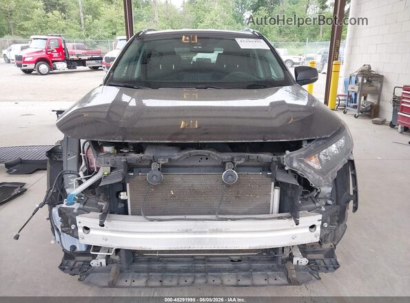 2T3G1RFV8KW045236 2019 TOYOTA RAV4 Gray 
