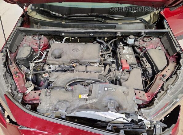 2T3G1RFV8LC127907 2020 TOYOTA RAV4 Burgundy 