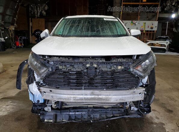 2T3G1RFV9KW065530 2019 TOYOTA RAV4 White Դիմացի տեսք