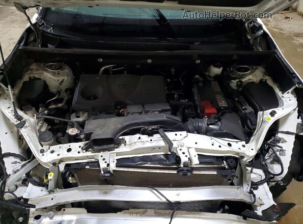 2T3G1RFVXMC165141 2021 TOYOTA RAV4 White 
