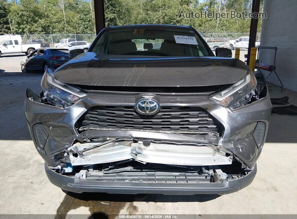 2T3G1RFVXPC342209 2023 TOYOTA RAV4 Серый Вид спереди