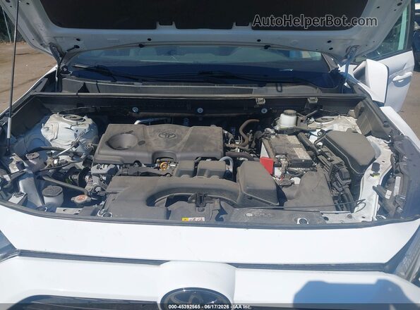 2T3G1RFVXPW349191 2023 TOYOTA RAV4 White Vista trasera