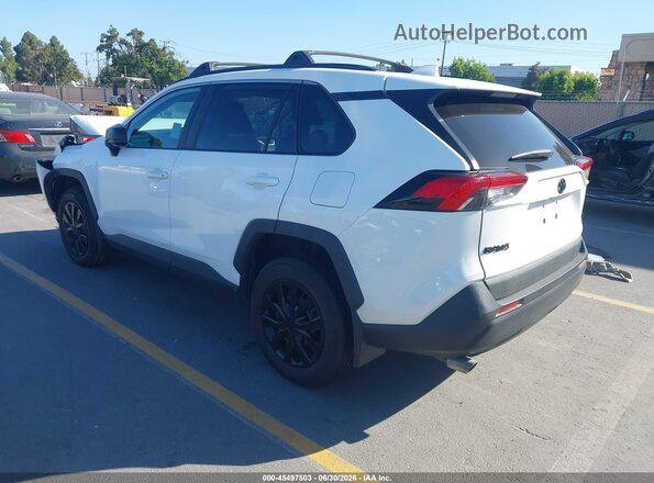 2T3H1RFV0KW018570 2019 TOYOTA RAV4 White Tył lewy
