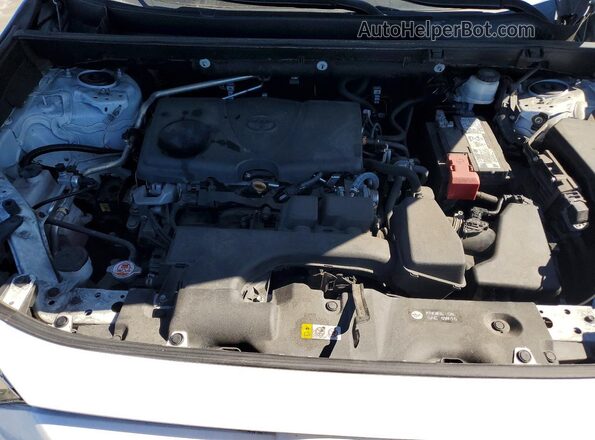 2T3H1RFV0PW253168 2023 TOYOTA RAV4 Белый 