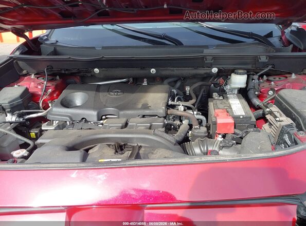 2T3H1RFV2KW012589 2019 TOYOTA RAV4 Red Вид ззаду
