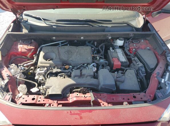 2T3H1RFV2PW251504 2023 TOYOTA RAV4 Burgundy 