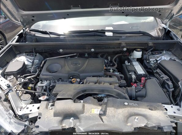2T3H1RFV3LC077583 2020 TOYOTA RAV4 Gray Вид ззаду