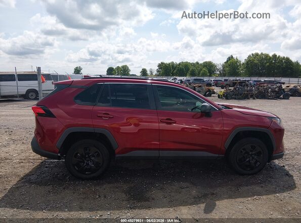 2T3H1RFV3LW075329 2020 TOYOTA RAV4 Red უკანა სალონის ხედი