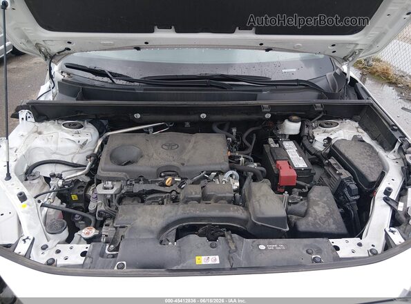 2T3H1RFV3PC235717 2023 TOYOTA RAV4 White უკანა ხედი