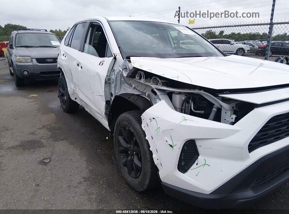 2T3H1RFV3PC235717 2023 TOYOTA RAV4 White წინა ხედი