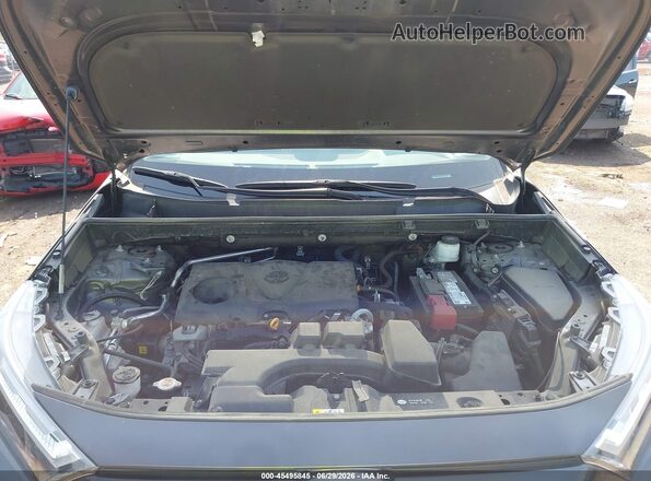 2T3H1RFV4PW259426 2023 TOYOTA RAV4 Серый Вид сзади