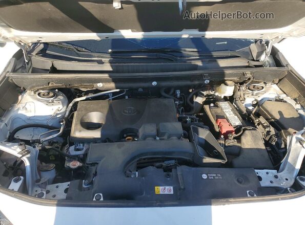 2T3H1RFV5NW204934 2022 TOYOTA RAV4 Белый Вид задней части салона