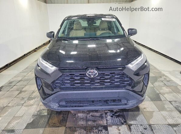 2T3H1RFV5PC230812 2023 TOYOTA RAV4 Black Vista frontal