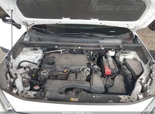 2T3H1RFV5PC244287 2023 TOYOTA RAV4 White Հետևի տեսք