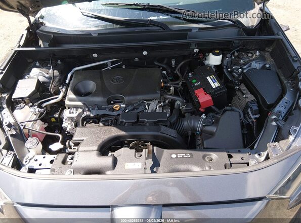2T3H1RFV7KC032824 2019 TOYOTA RAV4 Gray Հետևի տեսք