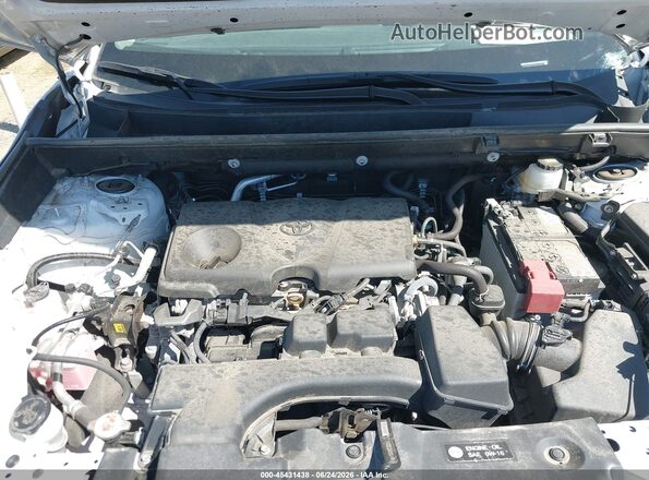 2T3H1RFV7RW342867 2024 TOYOTA RAV4 Белый Вид сзади