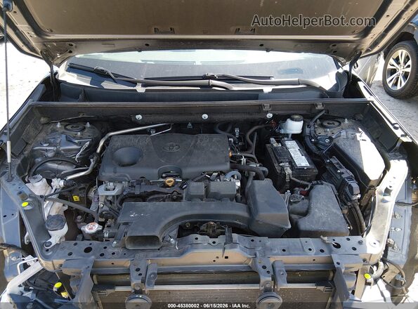 2T3H1RFV8PC248351 2023 TOYOTA RAV4 Gray Հետևի տեսք