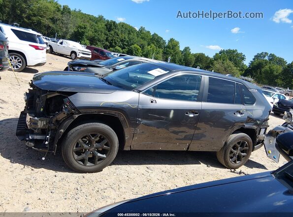 2T3H1RFV8PC248351 2023 TOYOTA RAV4 Gray 