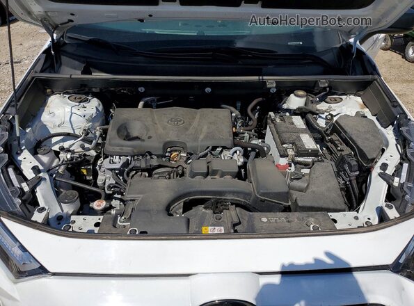 2T3H1RFV9RW307344 2024 TOYOTA RAV4 White Սալոնի հետևի տեսք