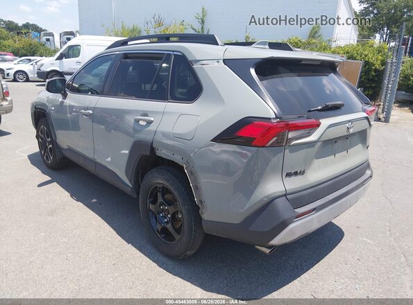 2T3J1RFV2KW041785 2019 TOYOTA RAV4 Pewter Հետևի ձախ