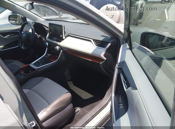 2T3J1RFV2KW041785 2019 TOYOTA RAV4 Pewter Սալոնի դիմացի տեսք