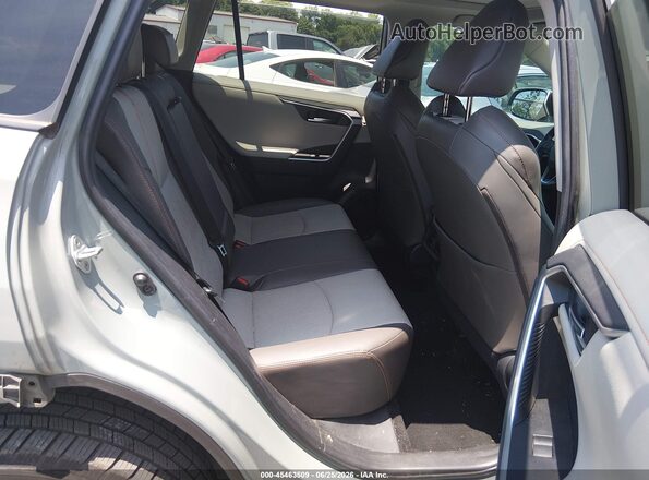 2T3J1RFV2KW041785 2019 TOYOTA RAV4 Pewter VIN կոդի պիտակի տեսք