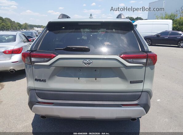 2T3J1RFV2KW041785 2019 TOYOTA RAV4 Pewter 