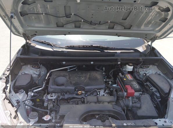 2T3J1RFV2KW041785 2019 TOYOTA RAV4 Pewter Հետևի տեսք