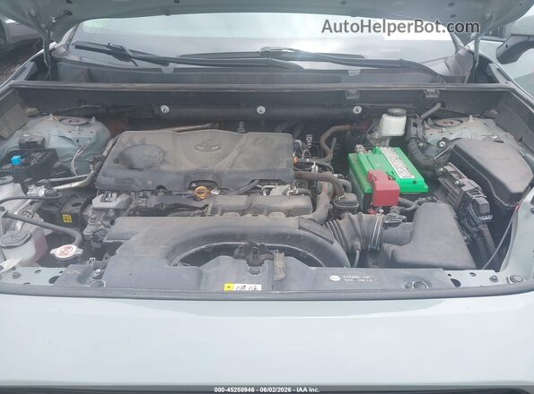 2T3J1RFV2MW142537 2021 TOYOTA RAV4 Серый Вид сзади