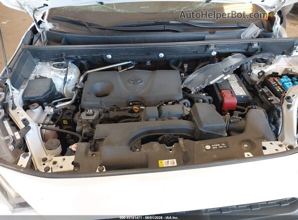 2T3J1RFV2RW458981 2024 TOYOTA RAV4 White Widok z tyłu