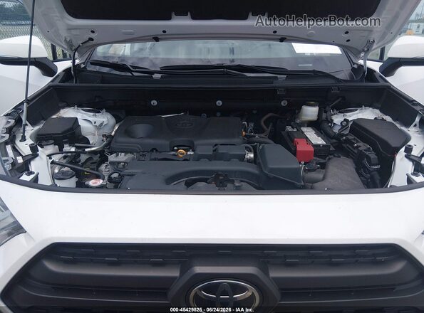 2T3J1RFV3RW462070 2024 TOYOTA RAV4 White Вид ззаду