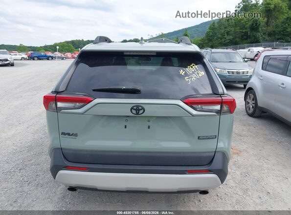 2T3J1RFV5KW022020 2019 TOYOTA RAV4 Green 