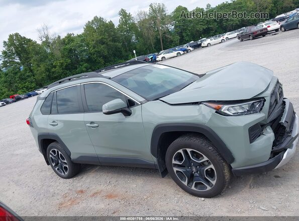 2T3J1RFV5KW022020 2019 TOYOTA RAV4 Green სალონის 360-გრადუსიანი ხედი