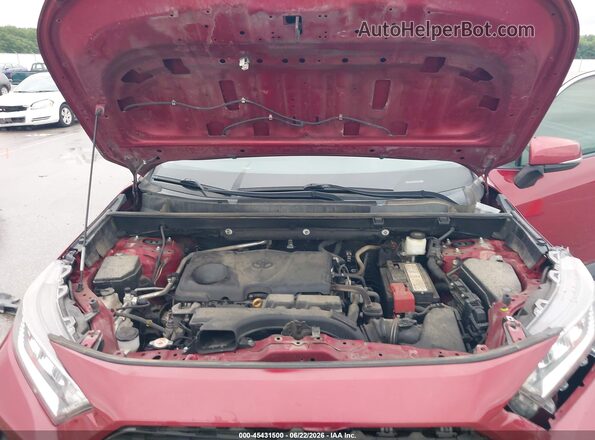 2T3J1RFV6KW004724 2019 TOYOTA RAV4 Красный Вид сзади