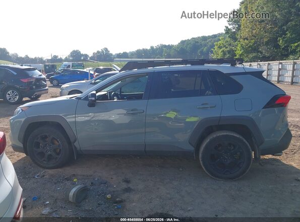 2T3J1RFV6LC079846 2020 TOYOTA RAV4 Gray Панорамний вид салону 360°