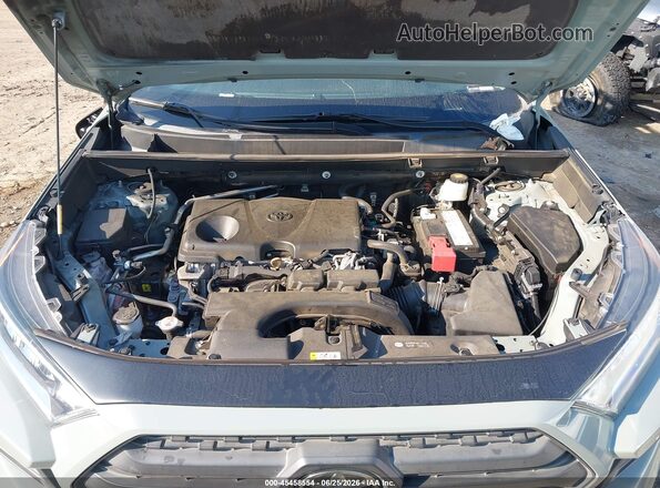 2T3J1RFV6LC079846 2020 TOYOTA RAV4 Gray Вид ззаду