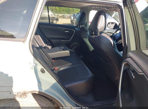 2T3J1RFV6LC079846 2020 TOYOTA RAV4 Gray Вид наклейки з VIN-кодом