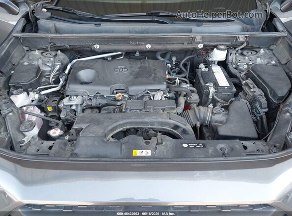 2T3J1RFV6LC112988 2020 TOYOTA RAV4 Gray Vista trasera