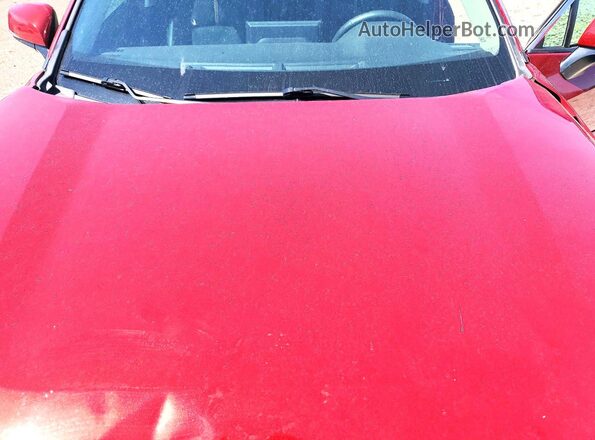 2T3J1RFV8KW021735 2019 TOYOTA RAV4 Red 