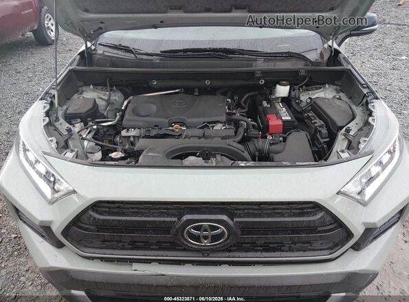 2T3J1RFV8LC067486 2020 TOYOTA RAV4 Gray Rear view