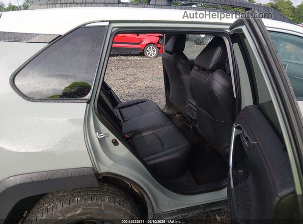 2T3J1RFV8LC067486 2020 TOYOTA RAV4 Gray VIN sticker view