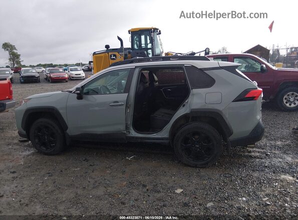 2T3J1RFV8LC067486 2020 TOYOTA RAV4 Gray 