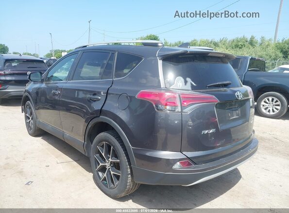 2T3JFREV1GW410100 2016 TOYOTA RAV4 Gray Հետևի ձախ