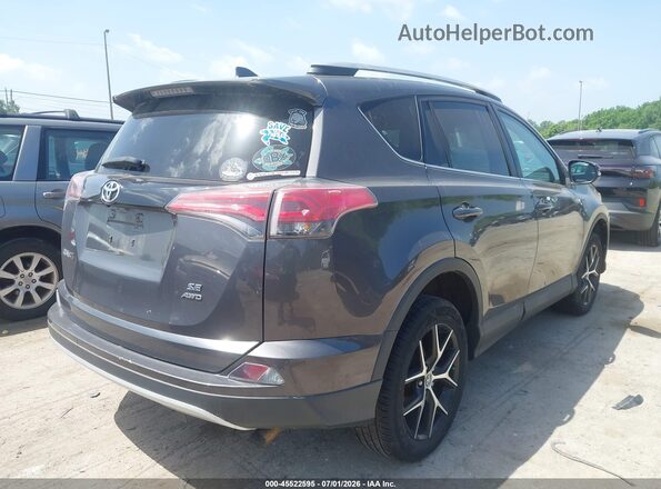 2T3JFREV1GW410100 2016 TOYOTA RAV4 Gray Հետևի աջ
